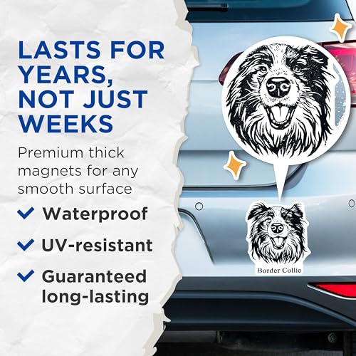 (2 Pack) Border Collie Magnets - Dog Lover Magnets - Pet Magnets - 5" On Longest Side - for Cars, Fridges, Toolboxes - Made in USA - MAG4023