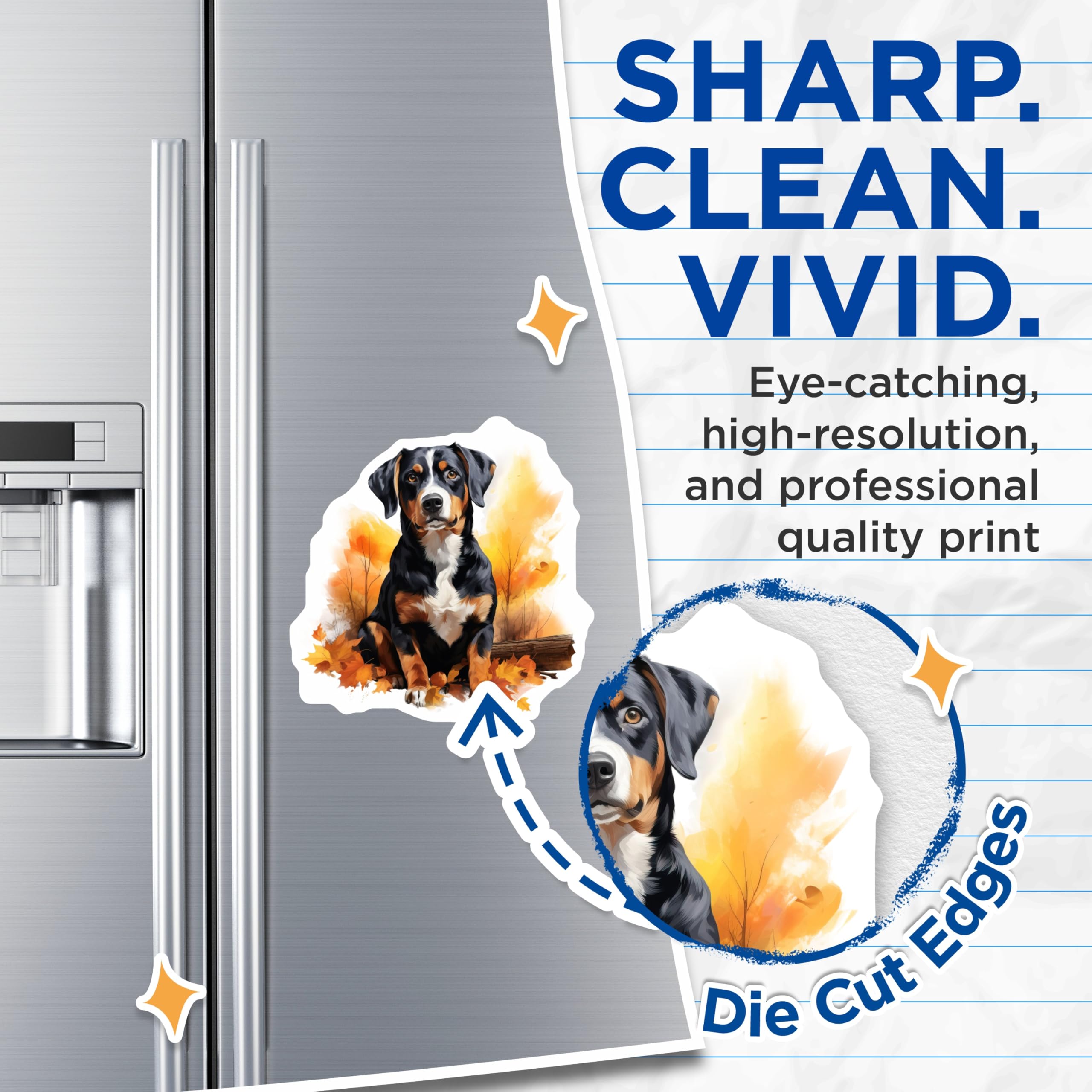 (2 Pack) Bernese Mountain Dog Magnets - Fall Dog Lover Decor - Tricolor Swiss Dog Art - 5 Inches On Longest Side - Thick Durable Magnet - Made in USA - MAG28159