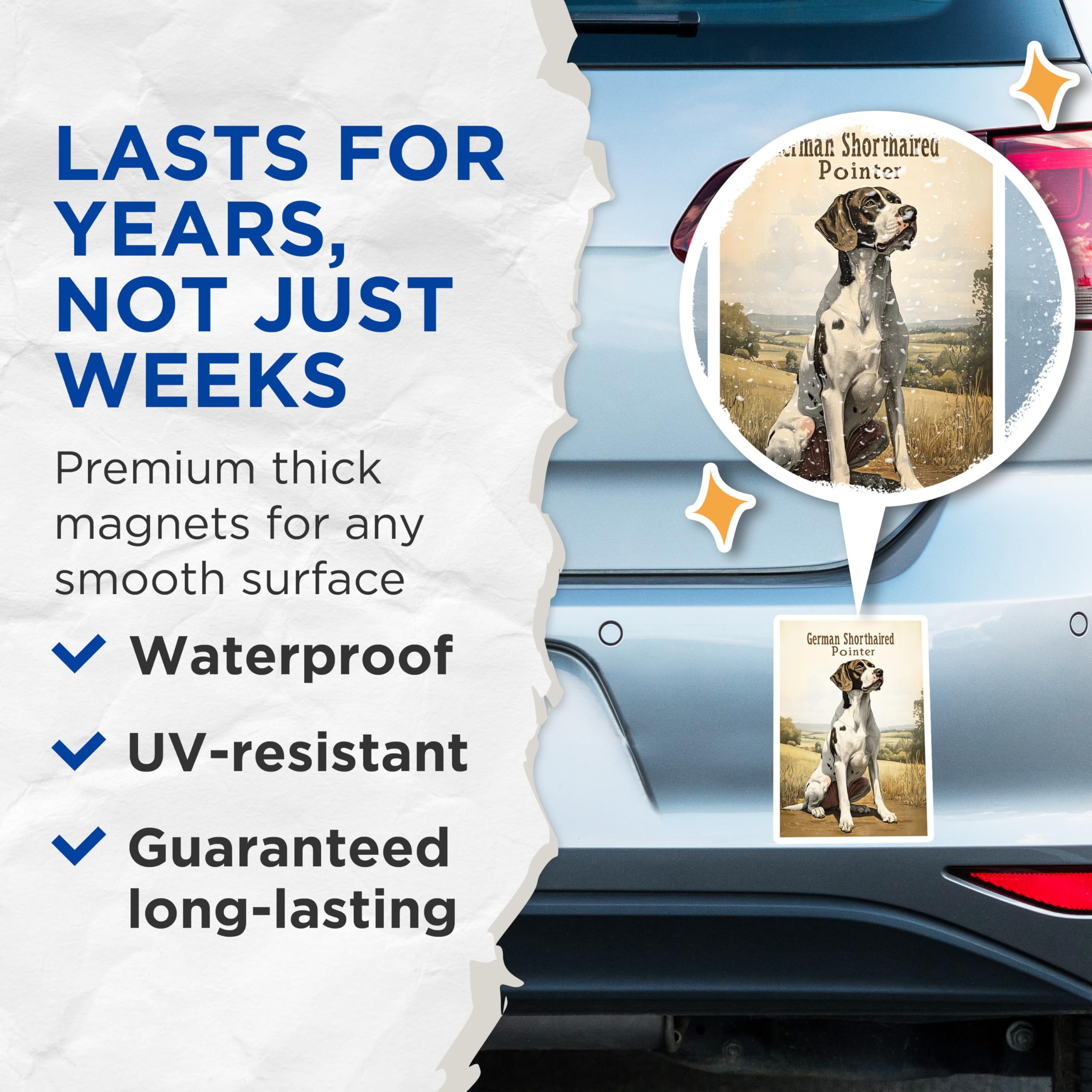 (2 Pack) German Shorthaired Pointer Magnets - GSP Dog Art - Hunting Dog Breed Decor - Canine Pet Owner Collectible - 5 Inches On Longest Side - Thick Durable Magnet - Made in USA - MAG20816