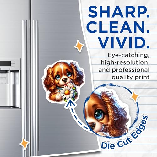 (2 Pack) Adorable Dog Art Magnet - Refrigerator Decor for Animal Lovers - 5" On Longest Side - Sticks to Smooth Flat Surfaces - Made in USA - MAG9588