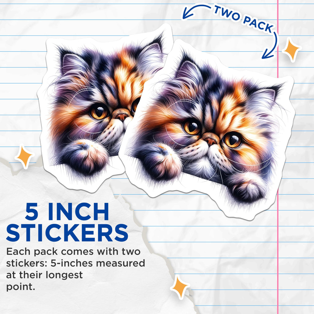 (2 Pack) Persian Cat Stickers - Cute Kitten Stickers - Colorful Cat Art Stickers - 5" On Longest Side - Sticks to Smooth Flat Surfaces - Made in USA - BMCS15723
