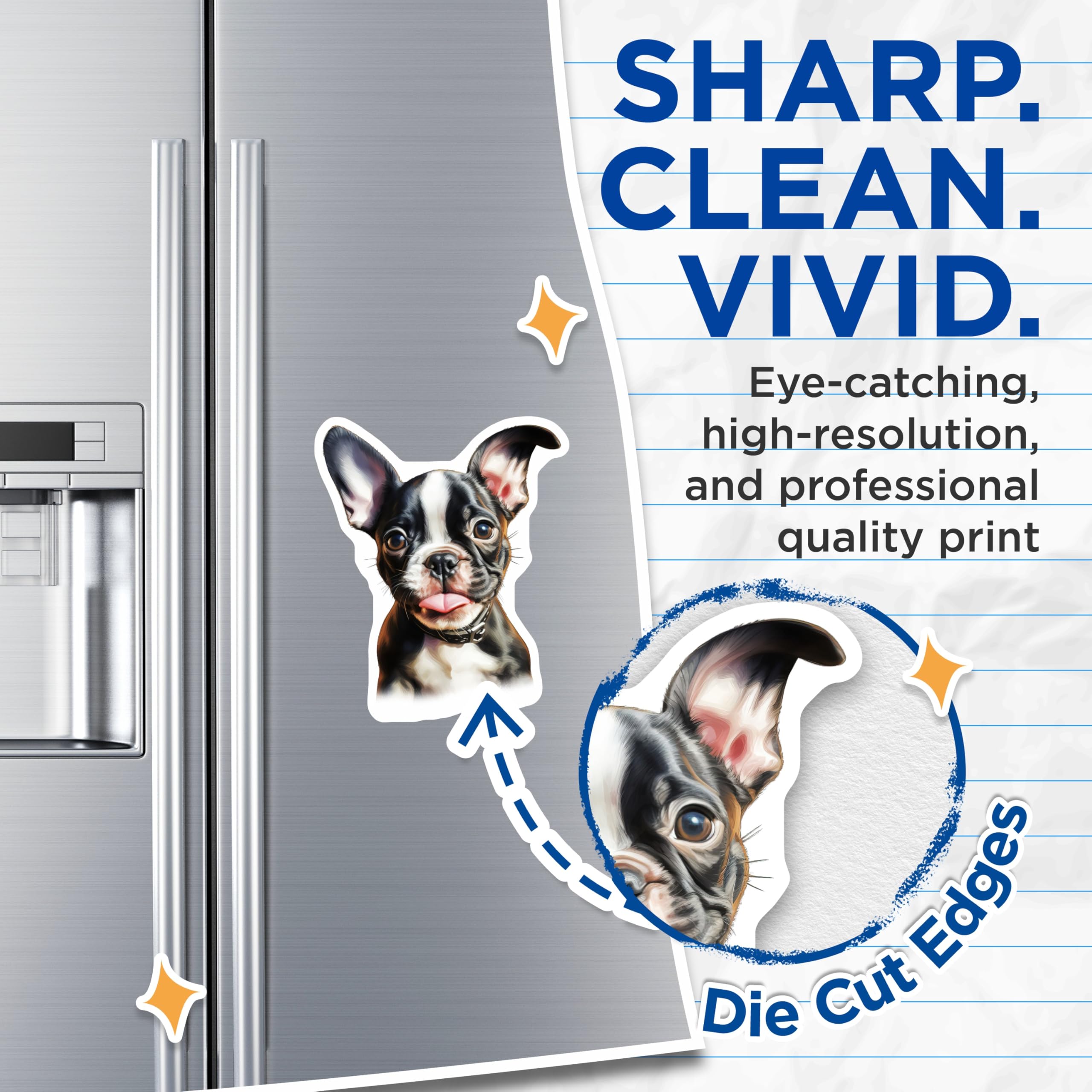 (2 Pack) Boston Terrier Puppy Magnets - Cute Dog Lover Home Accent - Pet Parent Refrigerator Decor - 5 Inches On Longest Side - Thick Durable Magnet - Made in USA - MAG26345