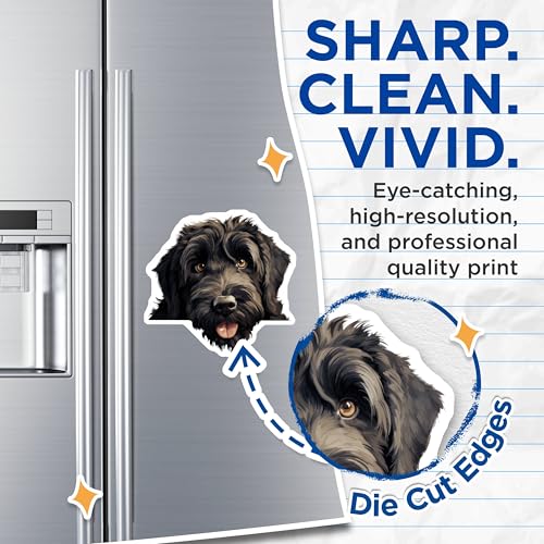 (2 Pack) Pet Decor Magnet - 5" On Longest Side - Sticks to Smooth Flat Surfaces - Made in USA - MAG9874