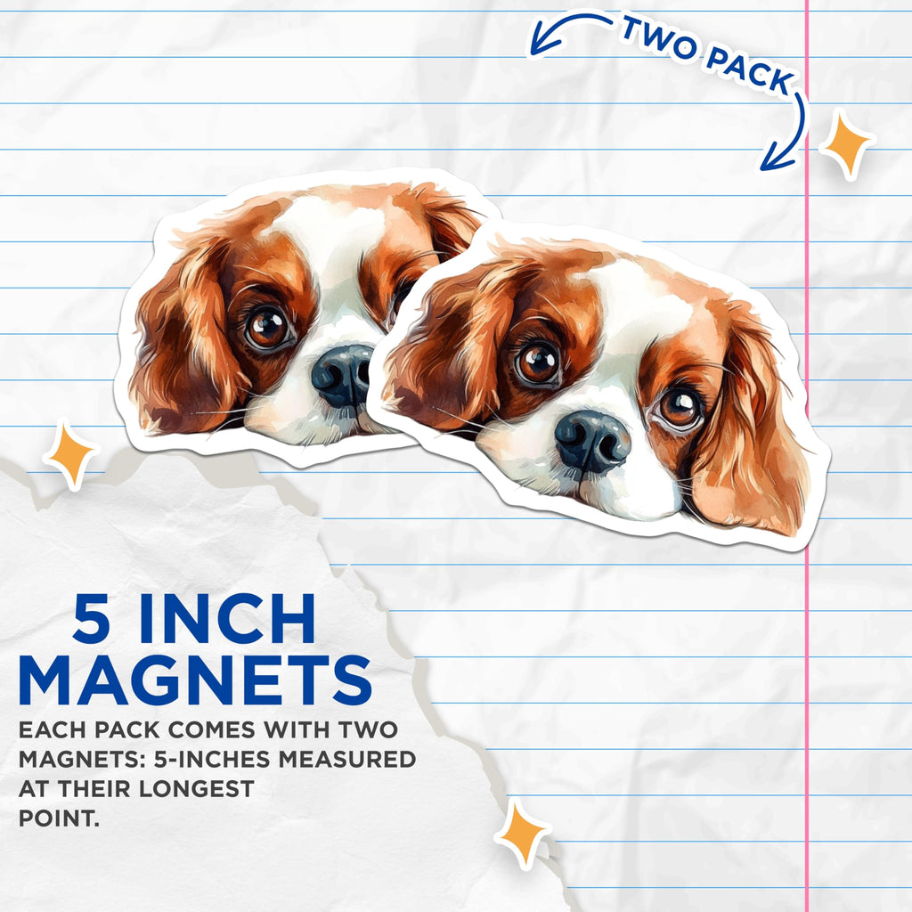 (2 Pack) Cavalier King Charles Spaniel Magnets - Dog Breed Art - Cute Puppy Decor - 5" On Longest Side - Premium Magnet - for Cars, Refrigerators, Toolboxes, Lockers - Made in USA - MAG14262
