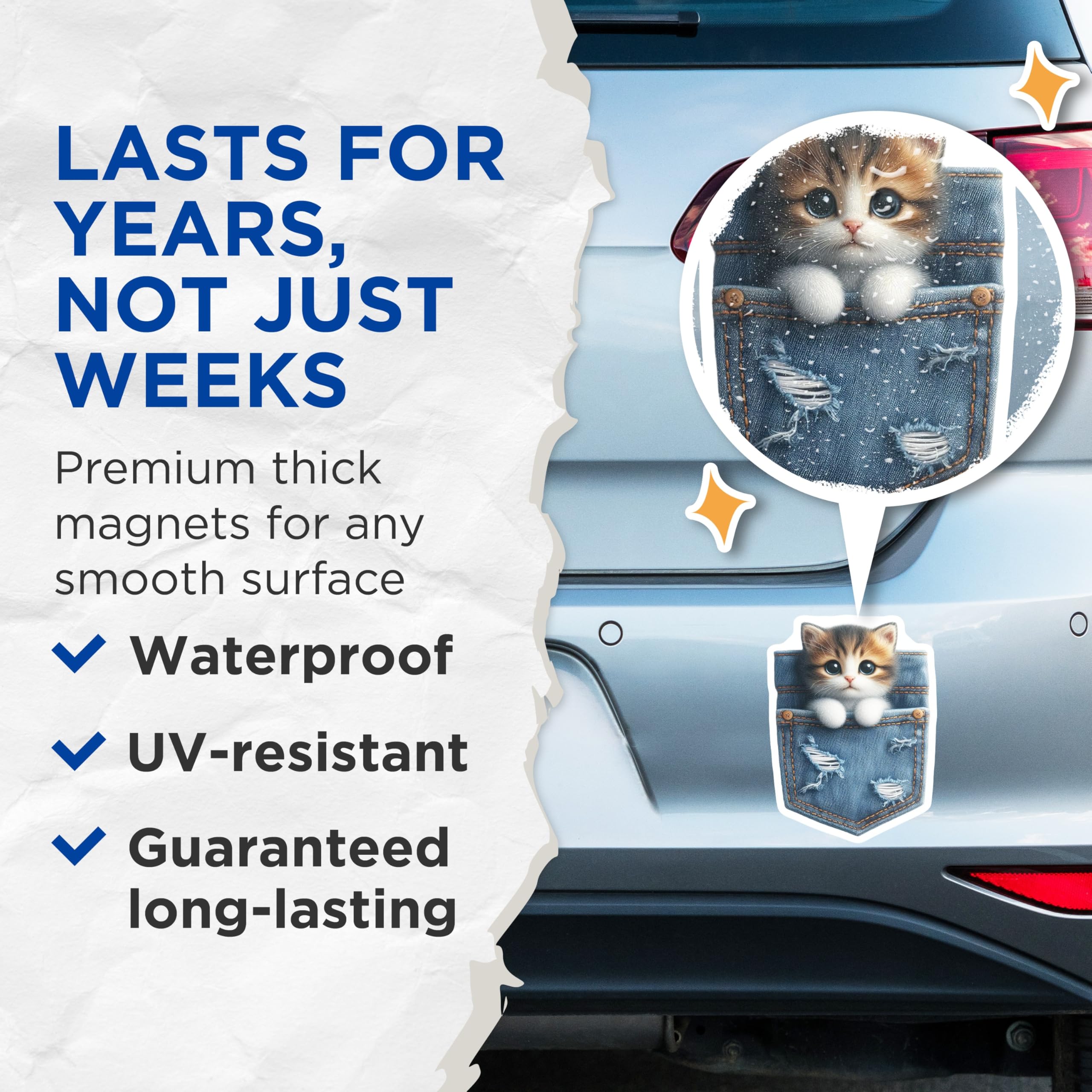 (2 Pack) Kitten in Pocket Magnets - Cute Cat Decor - Fridge Locker Magnets - 5" On Longest Side - Premium Magnet - for Cars, Refrigerators, Toolboxes, Lockers - Made in USA - MAG15613