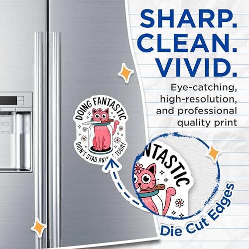 (2 Pack) Doing Fantastic Magnets - Cat Art Magnet - Funny Quote Magnet - Pink Cat Magnet - Humor Magnet for Fridge - 5" On Longest Side - for Cars, Fridges, Toolboxes - Made in USA - MAG4560