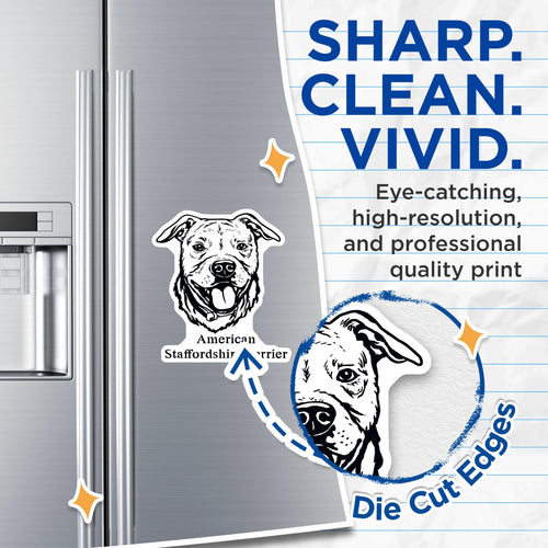 (2 Pack) American Staffordshire Terrier Magnets - Dog Lovers - Pet Owner Decals - 5" On Longest Side - for Cars, Fridges, Toolboxes - Made in USA - MAG4016