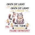 (2 Pack) Crazy Cat Lady Magnets - Dedicated Feline Enthusiast - Cat Lover Home Decor - 5" On Longest Side - for Cars, Fridges, Toolboxes - Made in USA - MAG7728