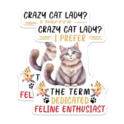 (2 Pack) Crazy Cat Lady Magnets - Dedicated Feline Enthusiast - Cat Lover Home Decor - 5" On Longest Side - for Cars, Fridges, Toolboxes - Made in USA - MAG7728