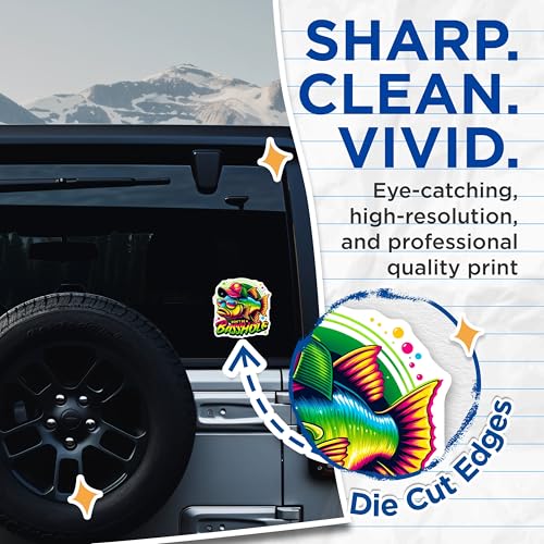 (2 Pack) Funny Fish Stickers - Humorous Sticker Decals - Colorful Outdoor Stickers - 5" On Longest Side - Sticks to Smooth Flat Surfaces - Made in USA - BMCS4273