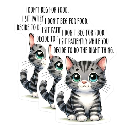 (3 Pack) Funny Cat Decals - Tabby Cat Saying - Laptop Car Decal - 3 Inches On Longest Side - Easy Peel & Apply - Made in USA - 3MCS1907
