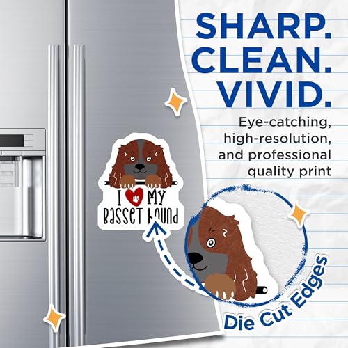 (2 Pack) I Love My Bas Hound Magnets - Dog Lover's Fridge - Cute Pet Owner Accessories - 5" On Longest Side - for Cars, Fridges, Toolboxes - Made in USA - MAG4293