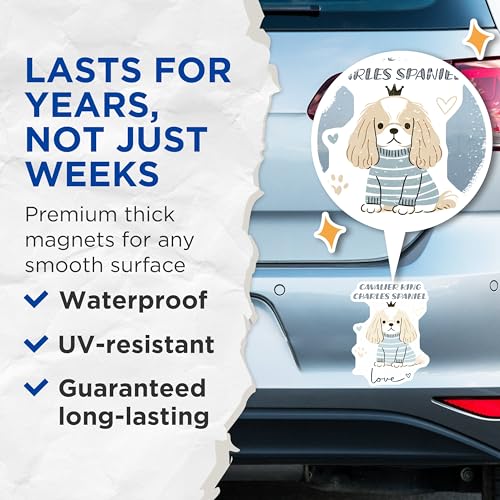 (2 Pack) Cavalier King Charles Spaniel Magnets - Dog Lover Decor - Cute Pet Animal Magnets for Fridge - 5" On Longest Side - for Cars, Fridges, Toolboxes - Made in USA - MAG7295