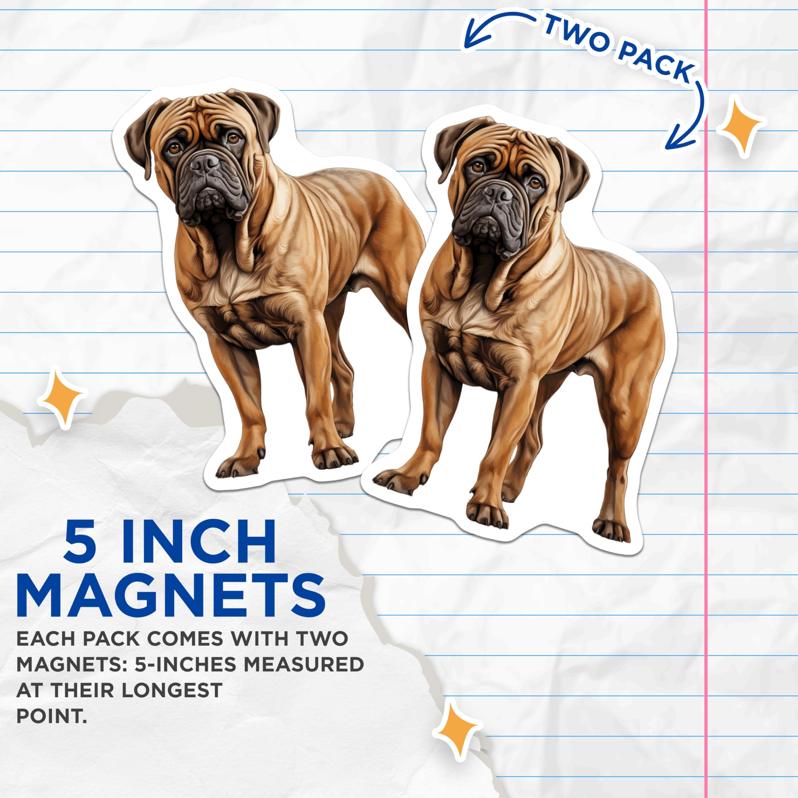 (2 Pack) Bullmastiff Dog Magnets - Dog Breed Lover Decor - Pet Owner Fridge Art - Canine Enthusiast Item - 5 Inches On Longest Side - Thick Durable Magnet - Made in USA - MAG28166