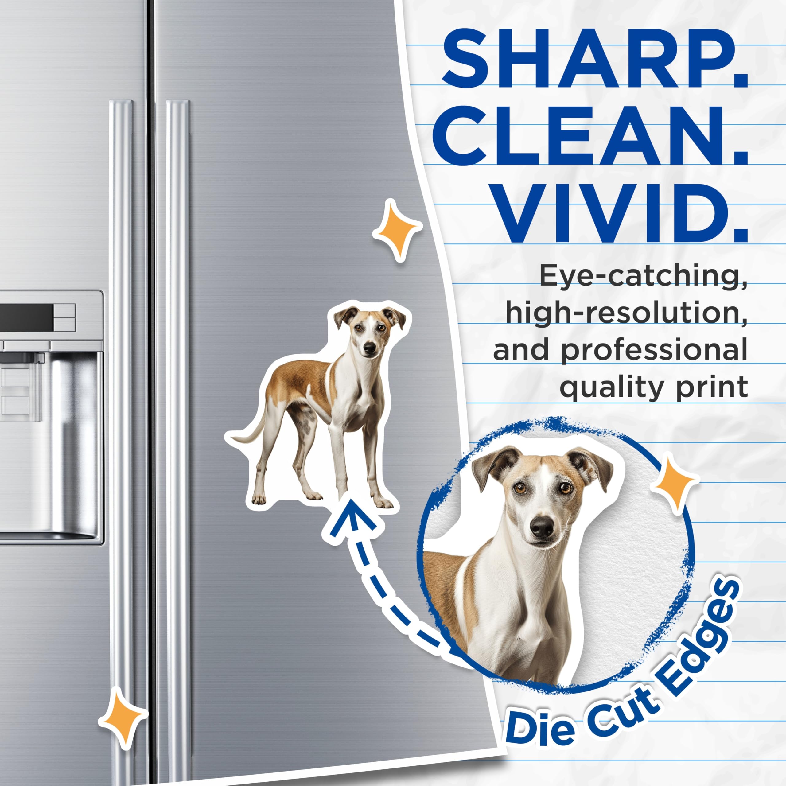 (2 Pack) Whippet Dog Magnets - Sighthound Fridge Decor - Pet Lover Animal Art - 5 Inches On Longest Side - Thick Durable Magnet - Made in USA - MAG28965