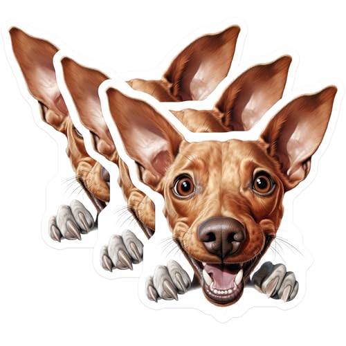 (3 Pack) Funny Dog Decals - Laptop Decal - Car Decal - 3 Inches On Longest Side - Easy Peel & Apply - Made in USA - 3MCS8698