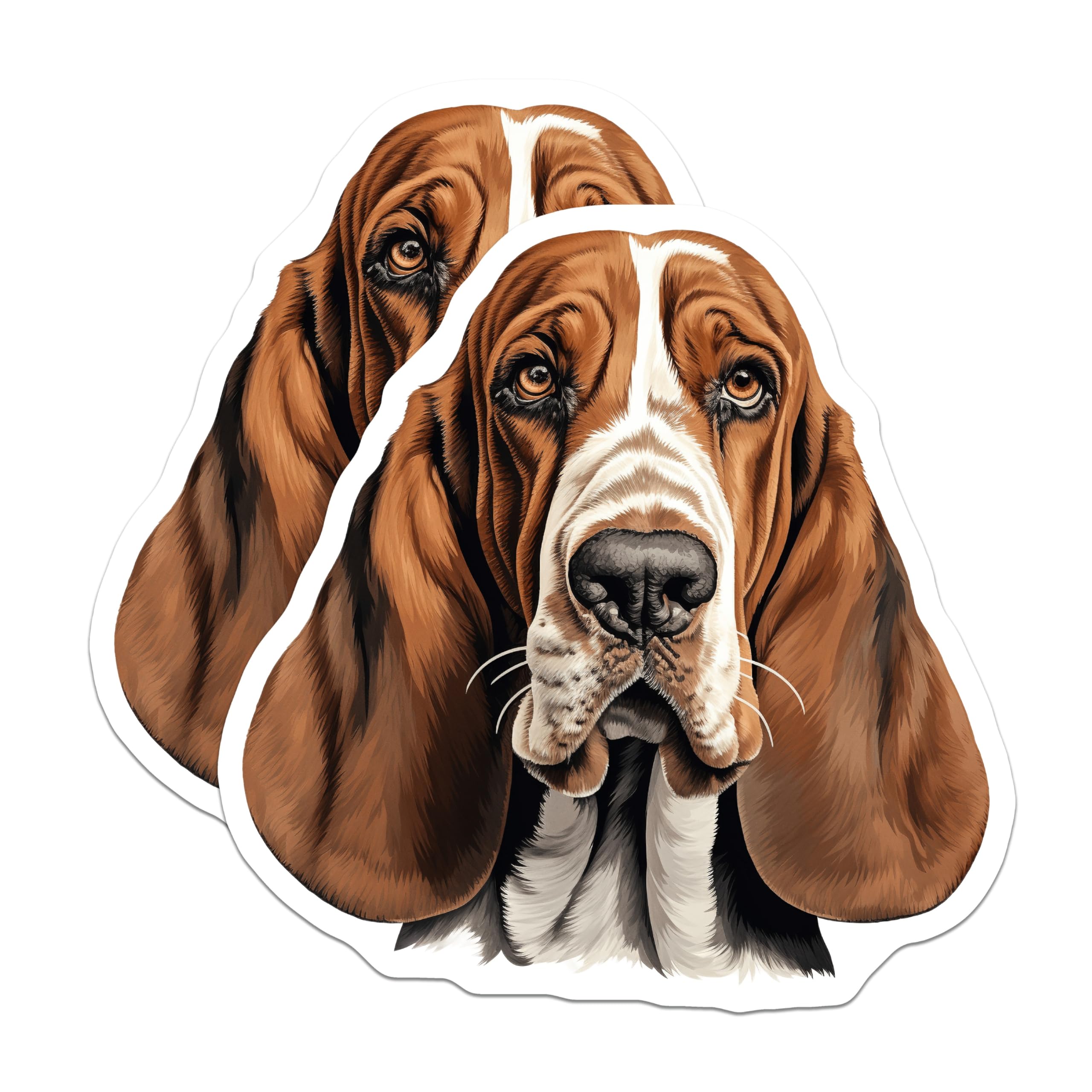 (2 Pack) Basset Hound Dog Magnets - Dog Lover Accessories - Pet Parent Refrigerator Decor - 5 Inches On Longest Side - Thick Durable Magnet - Made in USA - MAG26746