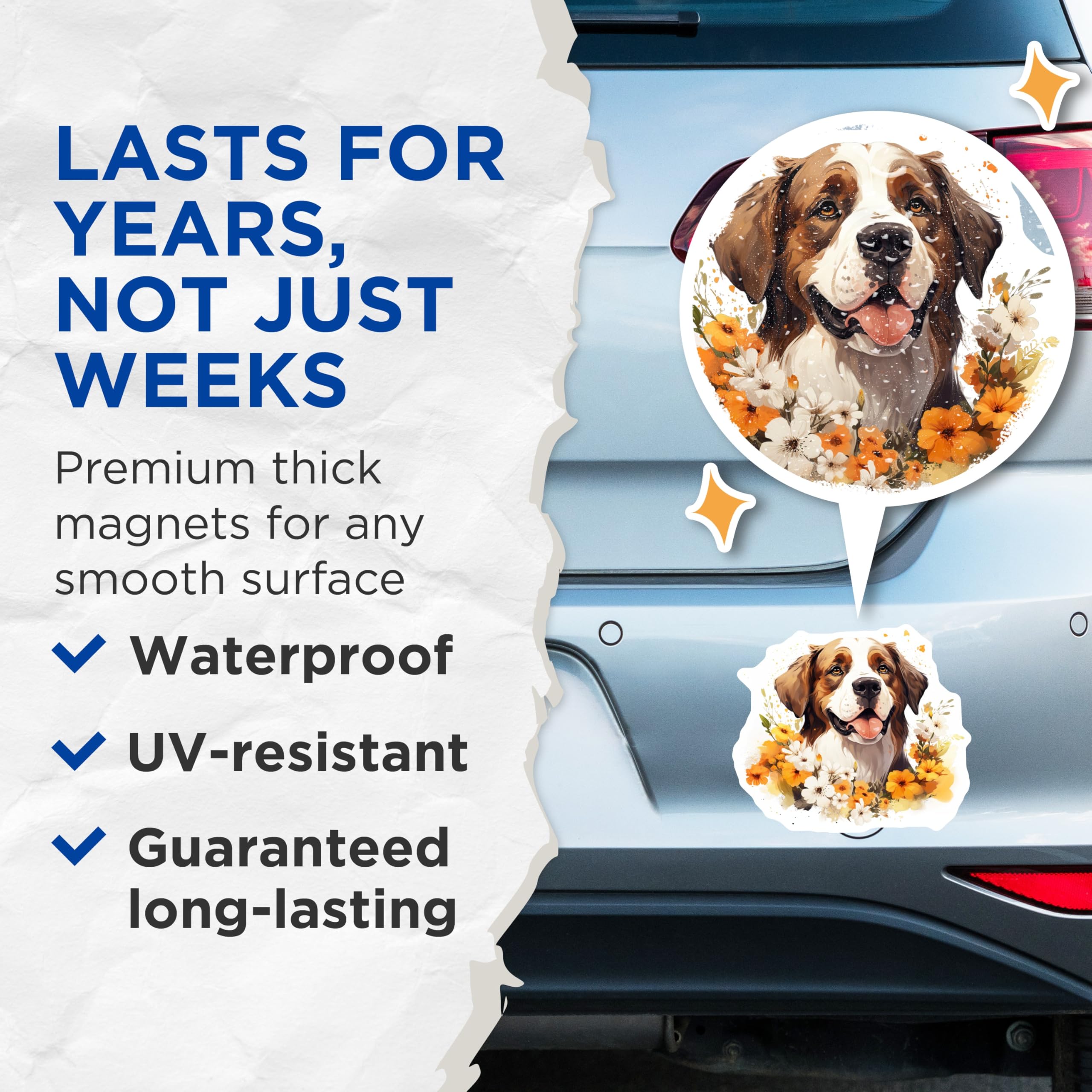 (2 Pack) Bernese Mountain Dog Magnets - Floral Dog Art - Pet Lover Decor for Dog Moms - 5 Inches On Longest Side - Thick Durable Magnet - Made in USA - MAG25950