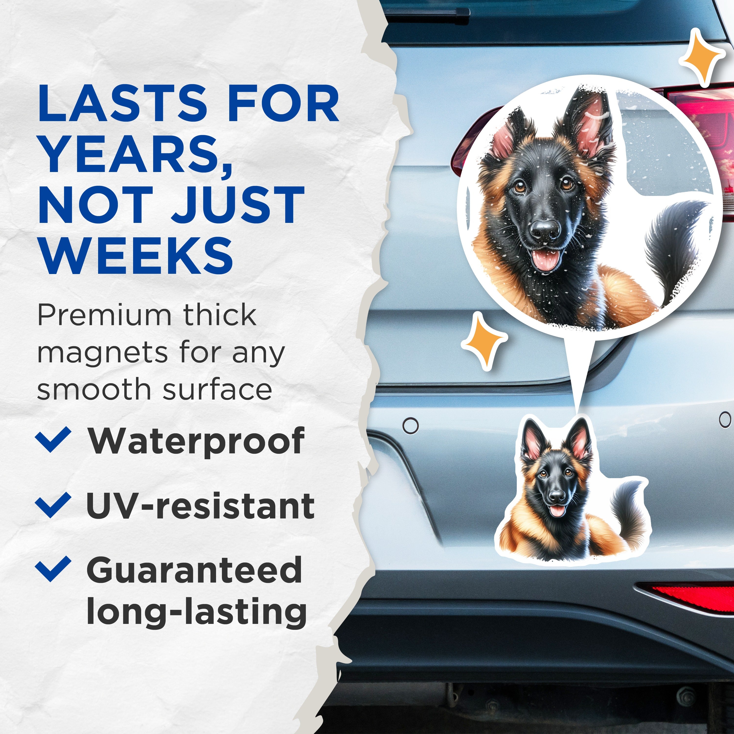 (2 Pack) Belgian Tervuren Magnets - Groenendael Puppy Art - Dog Mom Kitchen Decor - Animal Lover Home Accessory - 5 Inches On Longest Side - Thick Durable Magnet - Made in USA - MAG36753