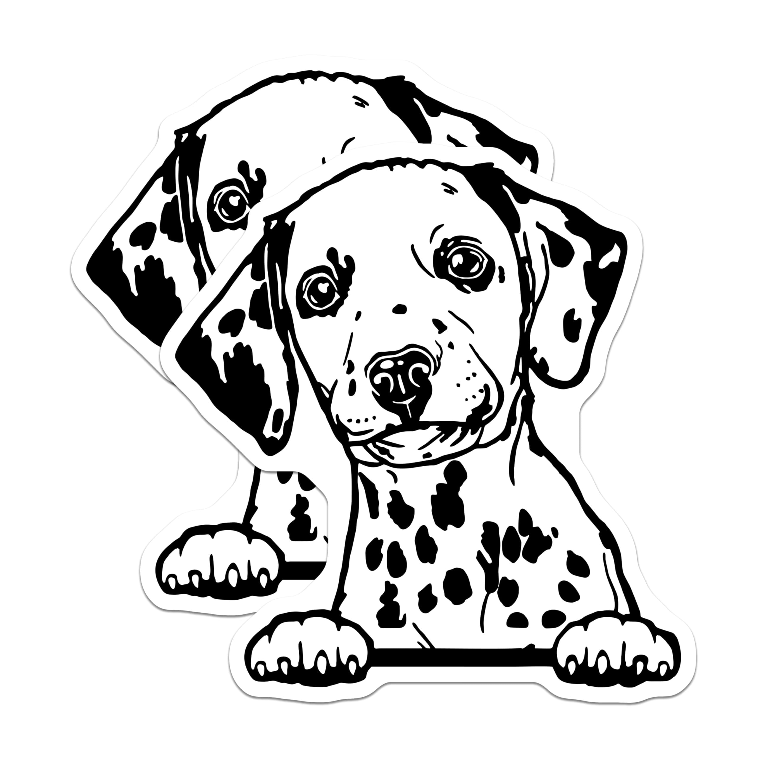 (2 Pack) Dalmatian Puppy Stickers - Dog Lover Stickers - Cute Animal Decal for Laptop or Water Bottle - 5" On Longest Side - Sticks to Smooth Flat Surfaces - Made in USA - BMCS4031