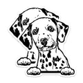 (2 Pack) Dalmatian Puppy Stickers - Dog Lover Stickers - Cute Animal Decal for Laptop or Water Bottle - 5" On Longest Side - Sticks to Smooth Flat Surfaces - Made in USA - BMCS4031