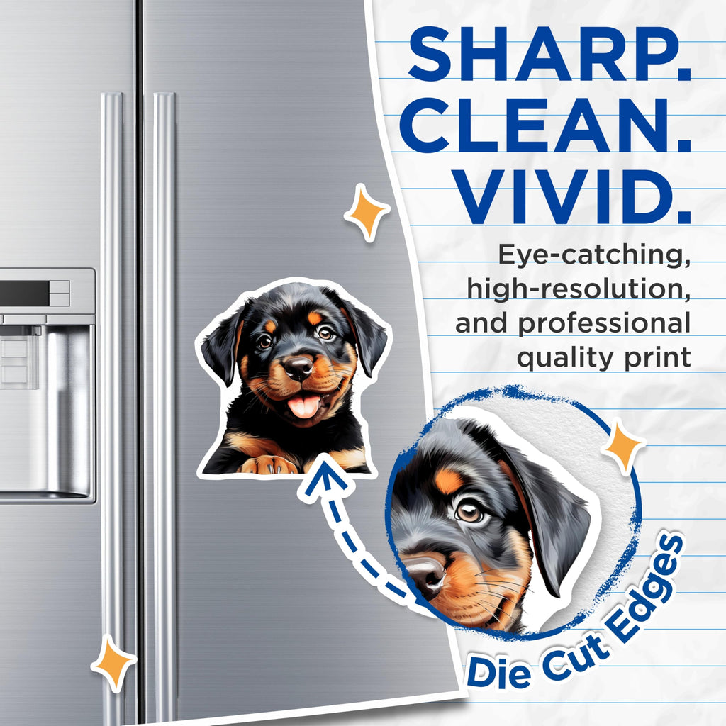(2 Pack) Rottweiler Puppy Magnets Cute Dog Mom Fridge Decor - Pet Lover Animal Enthusiast Accessory for Puppy Lovers - 5 Inches On Longest Side - Thick Durable Magnet - Made in USA - MAG28599