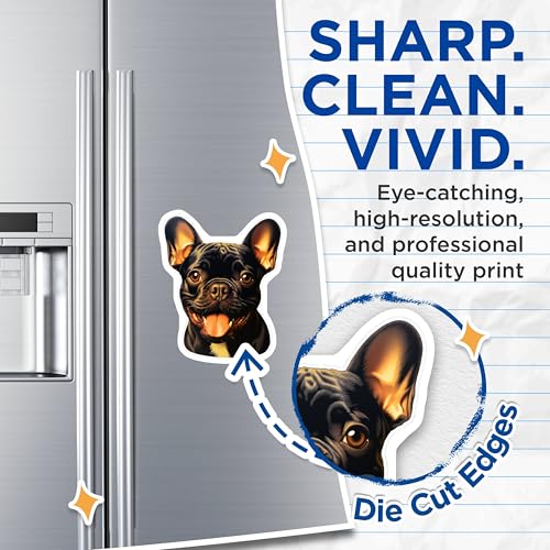 (2 Pack) French Bulldog Magnets - Cute Dog Magnets - Animal Art Magnets for Home - 5" On Longest Side - for Cars, Fridges, Toolboxes - Made in USA - MAG3947