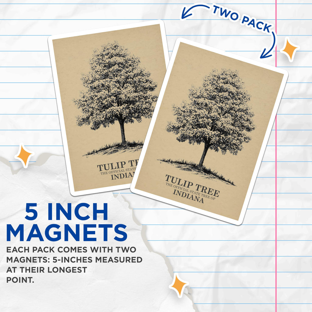 (2 Pack) Tulip Tree Magnets - Indiana State Tree Decor - Botanical Magnets - 5" On Longest Side - Premium Magnet - for Cars, Refrigerators, Toolboxes, Lockers - Made in USA - MAG18237