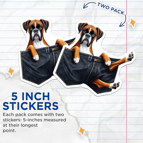 (2 Pack) Funny Dog Stickers - Boxer Dog in Shorts Stickers - Cute Pet Lover Stickers for Laptop - 5" On Longest Side - Sticks to Smooth Flat Surfaces - Made in USA - BMCS3949