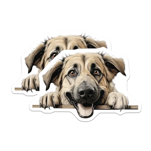 (2 Pack) Animal Lover Decor Magnet - 5" On Longest Side - Sticks to Smooth Flat Surfaces - Made in USA - MAG9834