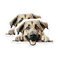 (2 Pack) Animal Lover Decor Magnet - 5" On Longest Side - Sticks to Smooth Flat Surfaces - Made in USA - MAG9834