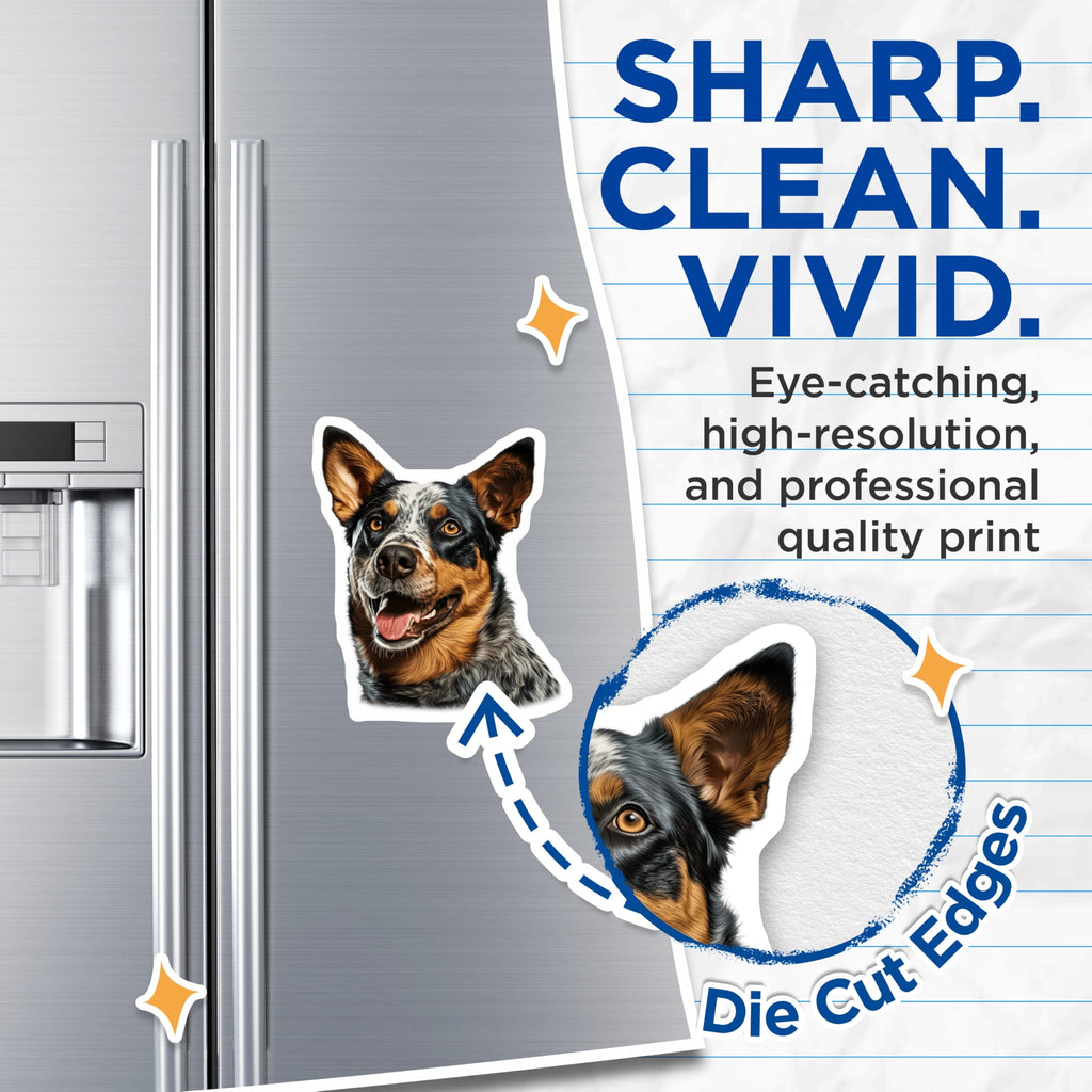 (2 Pack) Blue Heeler Dog Magnets - Australian Cattle Dog Decor - Pet Parent Refrigerator Accessories - 5 Inches On Longest Side - Thick Durable Magnet - Made in USA - MAG25721