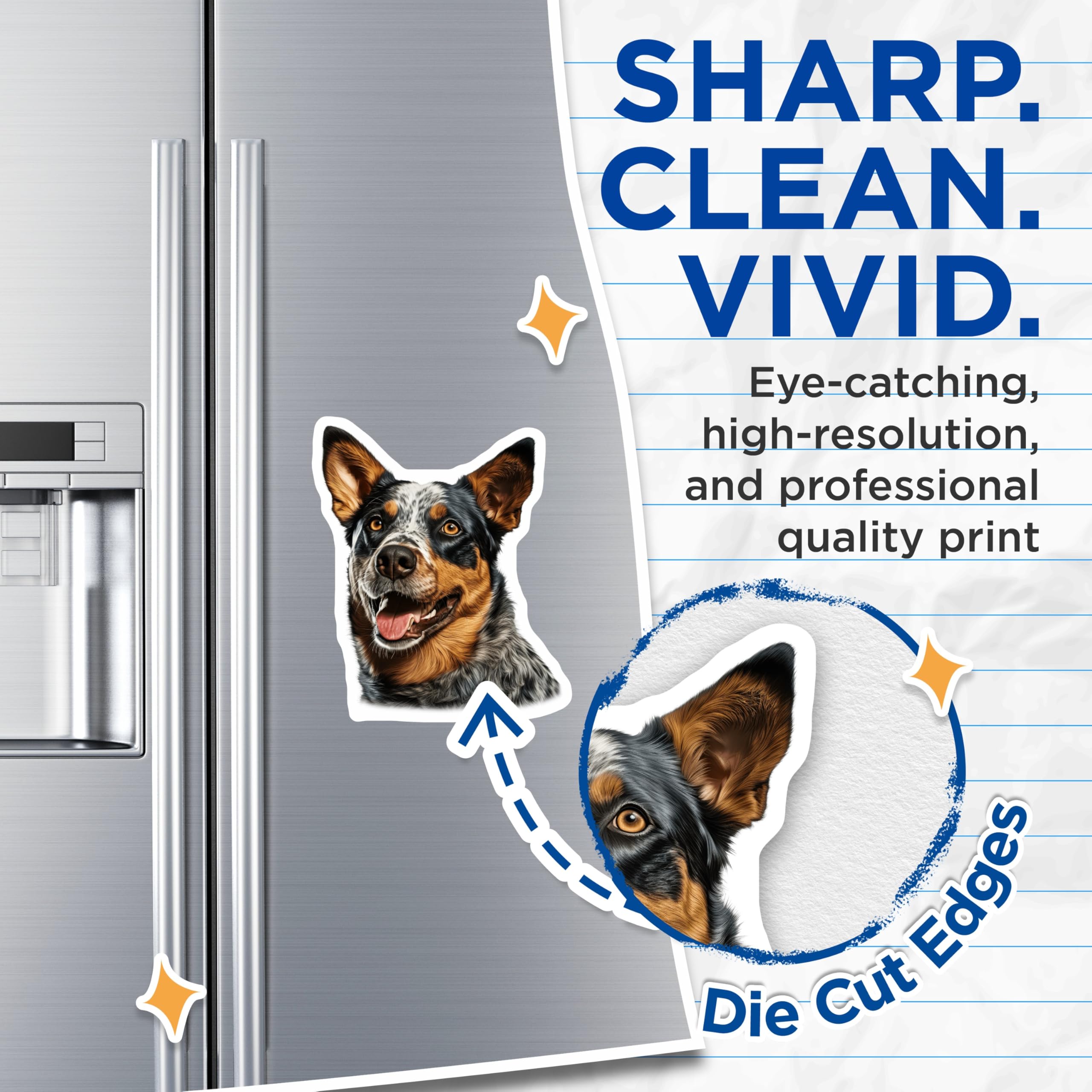 (2 Pack) Blue Heeler Dog Magnets - Australian Cattle Dog Decor - Pet Parent Refrigerator Accessories - 5 Inches On Longest Side - Thick Durable Magnet - Made in USA - MAG25721