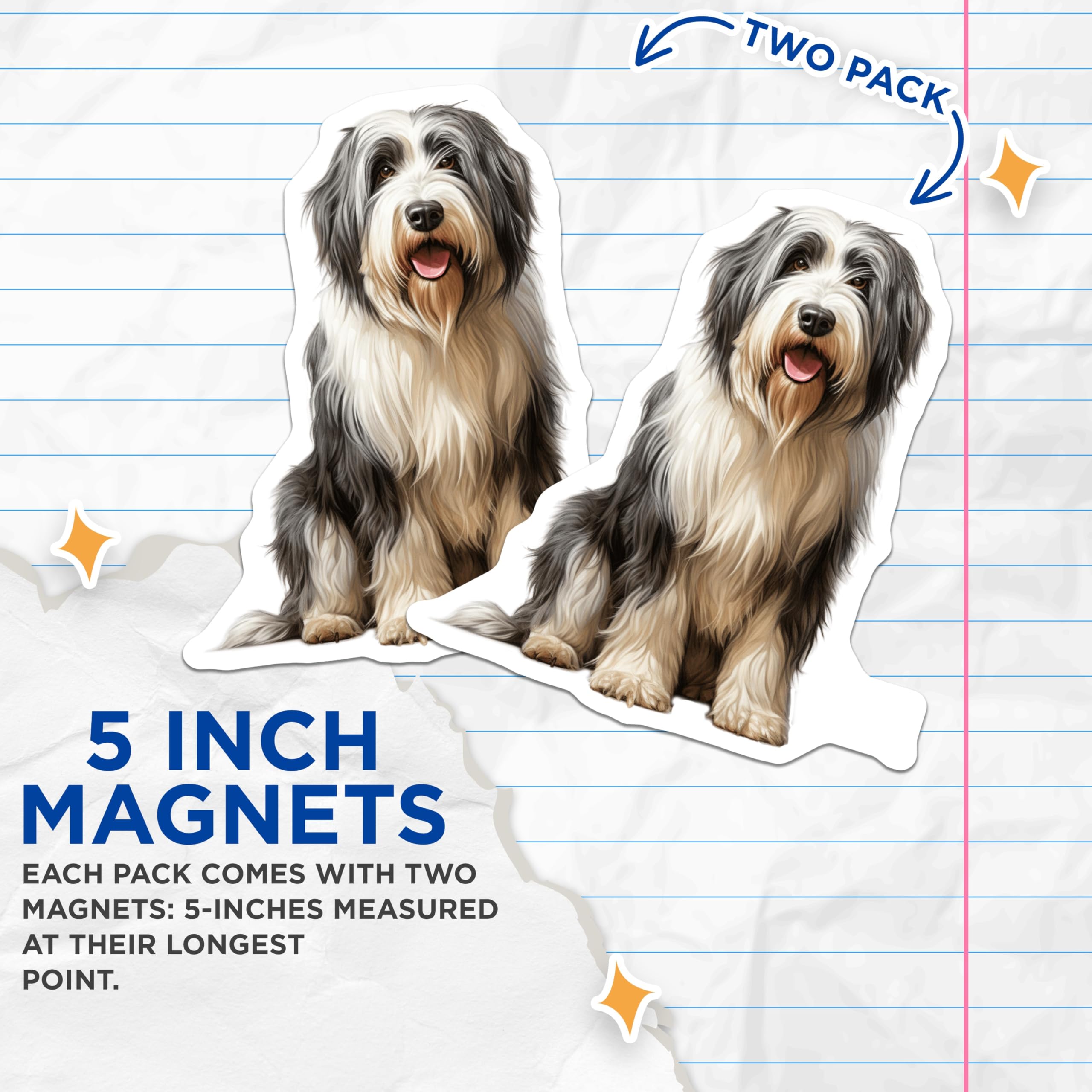 (2 Pack) Bearded Collie Dog Magnets - Shaggy Dog Breed Art - Pet Lover Refrigerator Decor - Cute Animal Fridge - 5 Inches On Longest Side - Thick Durable Magnet - Made in USA - MAG29951