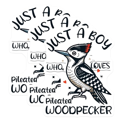 (3 Pack) Woodpecker Decals - Bird Lover Stickers - Laptop Decor- 3 Inches On Longest Side - Easy Peel & Apply - Made in USA - 3MCS5093