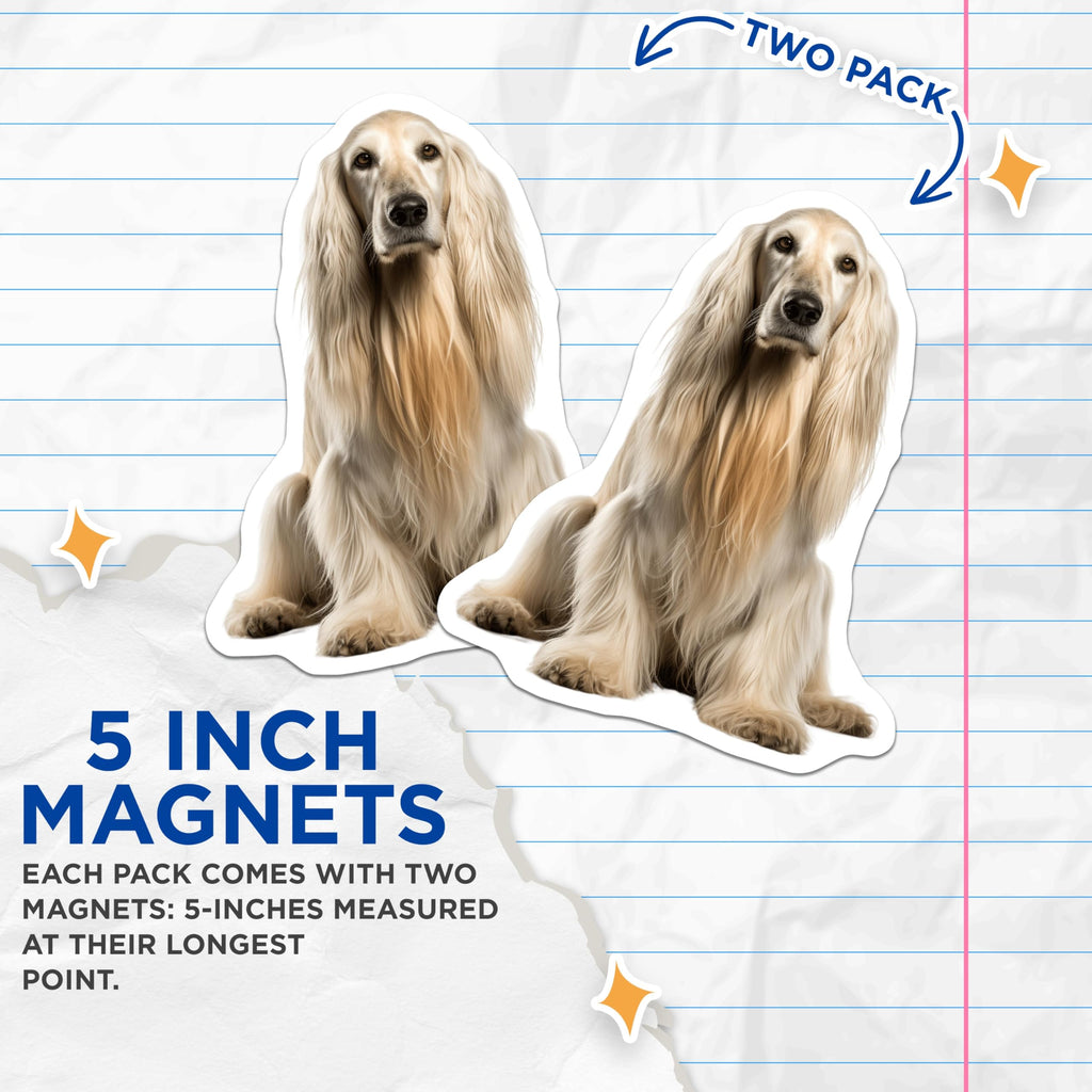 (2 Pack) Afghan Hound Dog Magnets - Elegant Pet Lover Decor - Animal Enthusiast Fridge Accessories - 5 Inches On Longest Side - Thick Durable Magnet - Made in USA - MAG25504