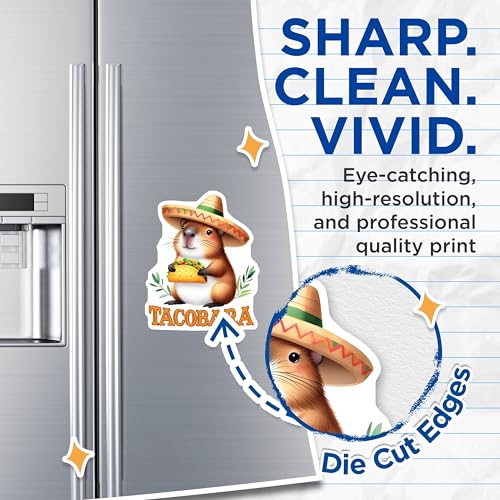(2 Pack) Tacobara Magnets - Cute Animal Magnets - Fun Kitchen Decor - 5" On Longest Side - for Cars, Refrigerators, Toolboxes, Lockers - Made in USA BMCS3258
