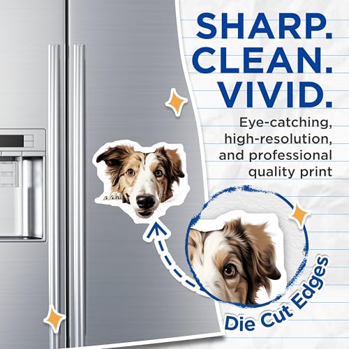 (2 Pack) Animal Decor Magnet - 5" On Longest Side - Sticks to Smooth Flat Surfaces - Made in USA - MAG9883