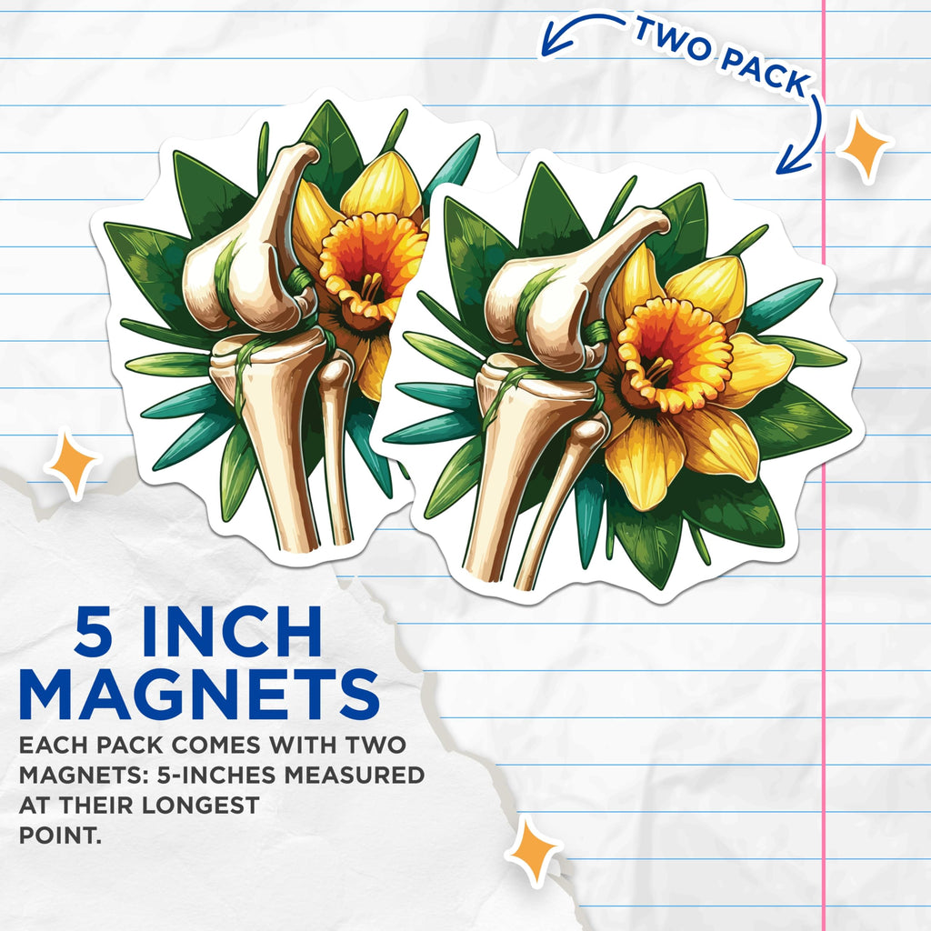 (2 Pack) Human Knee Bone Magnets - Detailed Anatomical Daffodil Flower Art - Orthopedic Science Medical Refrigerator Decor - 5 Inches On Longest Side - Thick Durable Magnet - Made in USA - MAG19549