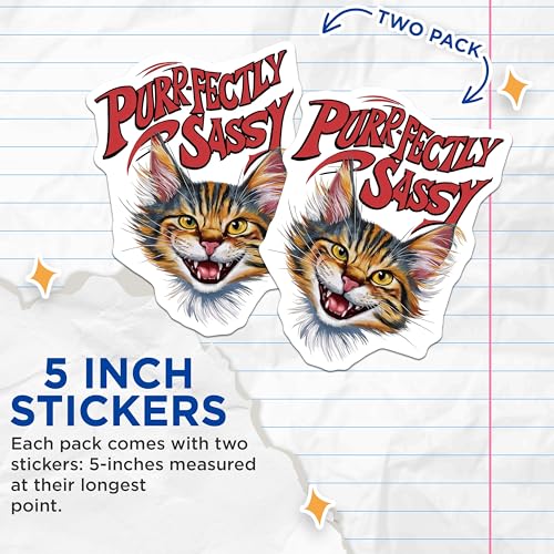 (2 Pack) Purr-fectly Sassy Stickers - Funny Cat Stickers - Cute Animal Stickers for Laptops - Unique Cat Art Stickers - 5" On Longest Side - Sticks to Smooth Flat Surfaces - Made in USA - BMCS3957