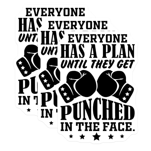 (3 Pack) Boxing Decals - Punched in Face - Motivational Decals - 3 Inches On Longest Side - Easy Peel & Apply - Made in USA - 3MCS7489