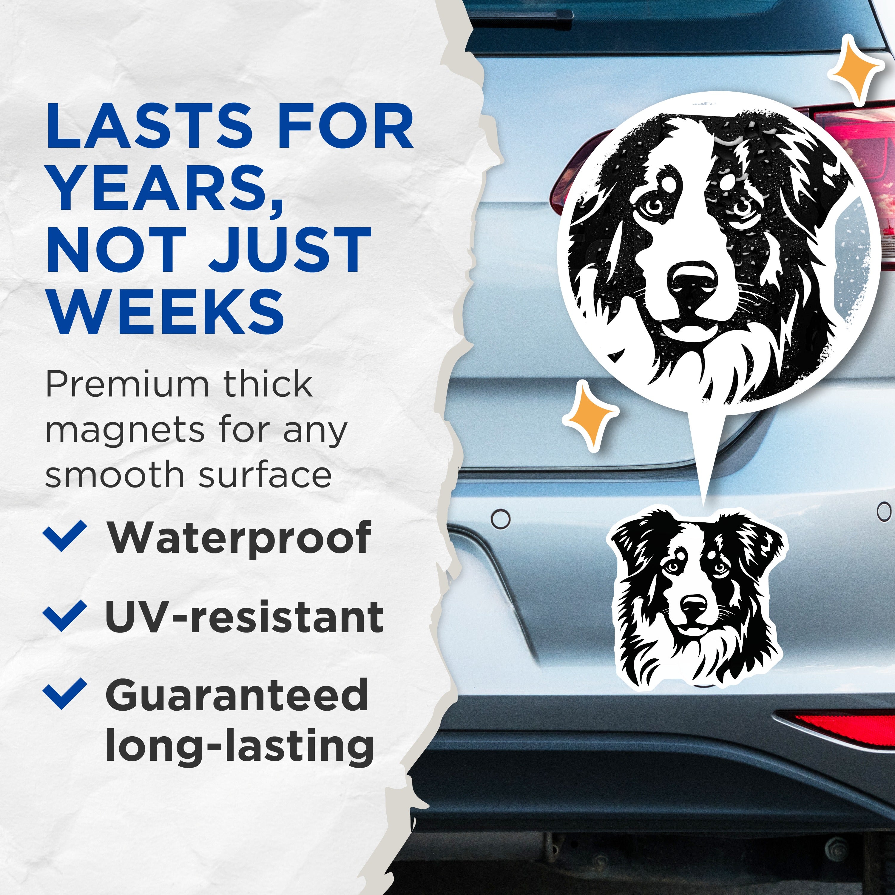 (2 Pack) Australian Shepherd Magnets - Aussie Dog Face Art - Pet Owner Refrigerator Decor - Animal Lover Canine Breed - 5 Inches On Longest Side - Thick Durable Magnet - Made in USA - MAG36445