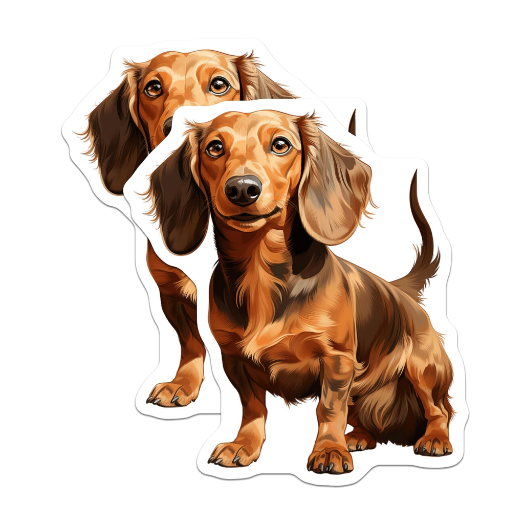 (2 Pack) Long Haired Dachshund Magnets - Cute Sausage Dog Art - Pet Lover Refrigerator Decor - 5 Inches On Longest Side - Thick Durable Magnet - Made in USA - MAG26437