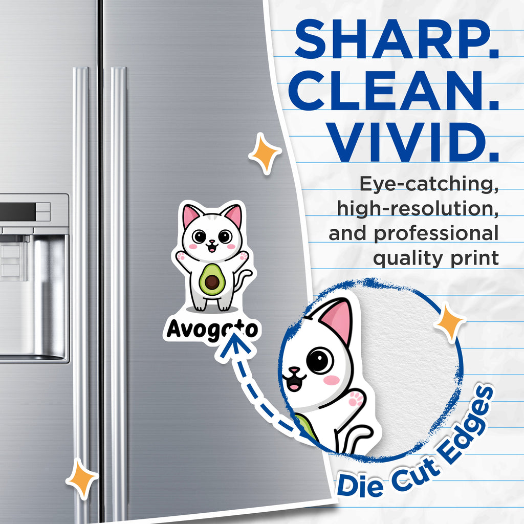 (2 Pack) Avogato Cat Magnets - Kawaii Avocado Pun - Fun Fridge Magnet - Animal Lover Accessory - 5 Inches On Longest Side - Thick Durable Magnet - Made in USA - MAG38687