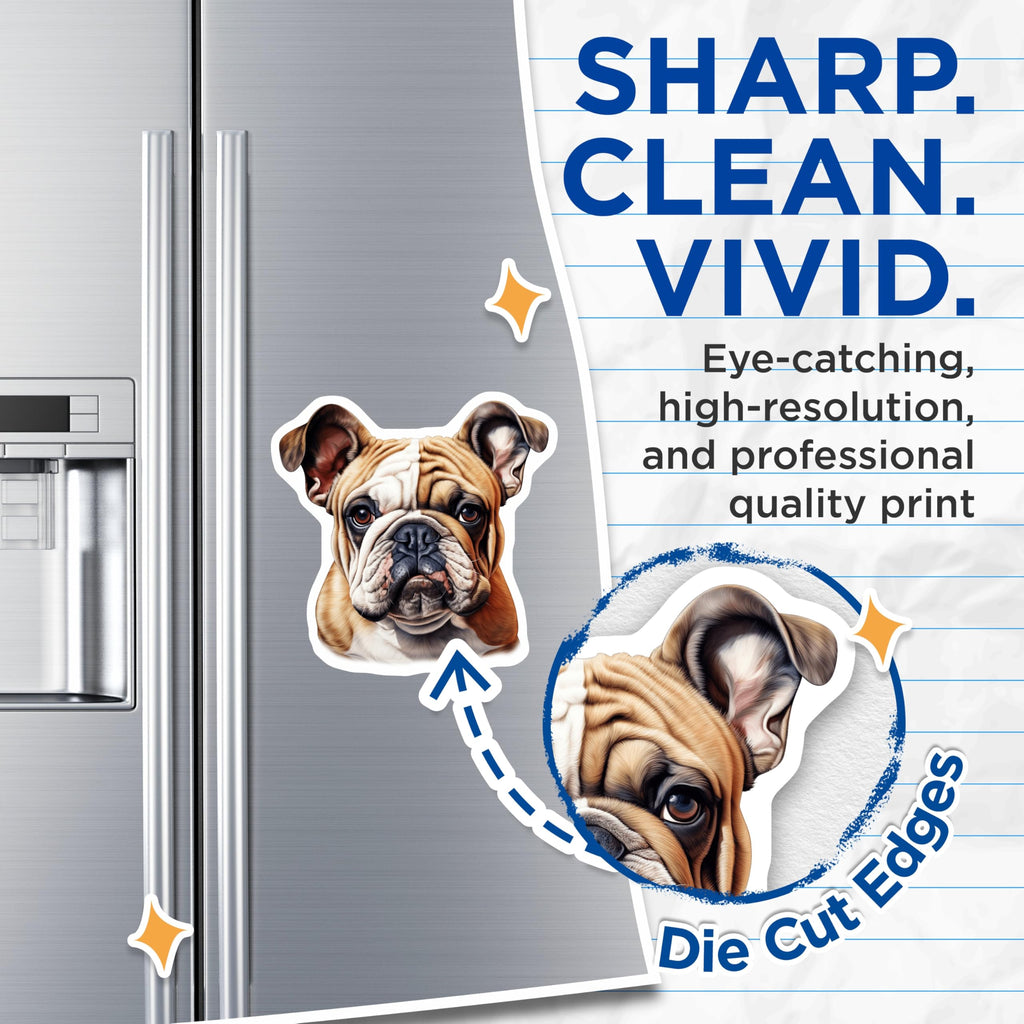 (2 Pack) Bulldog Magnets - English Bulldog Art - Pet Lover Home Decor - 5 Inches On Longest Side - Thick Durable Magnet - Made in USA - MAG24323