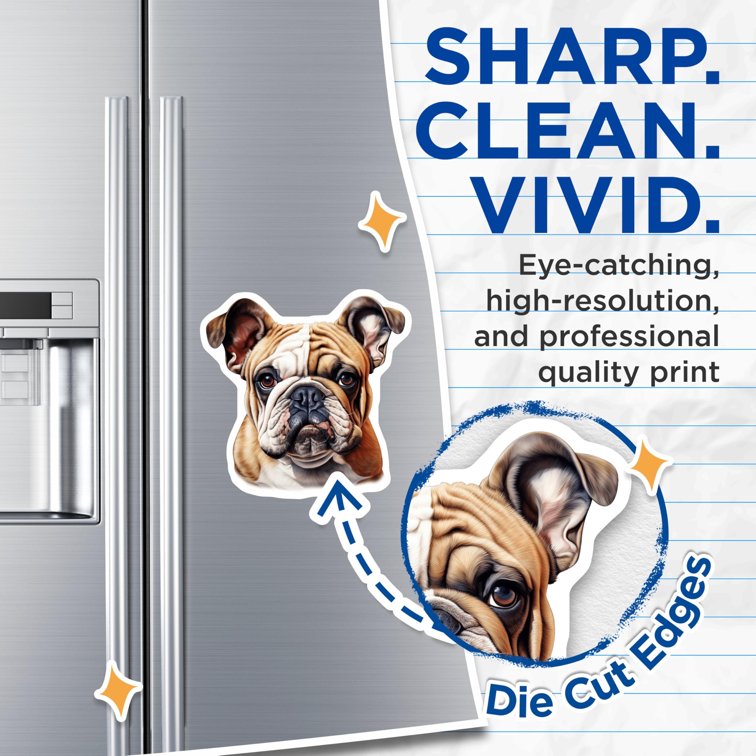 (2 Pack) Bulldog Magnets - English Bulldog Art - Pet Lover Home Decor - 5 Inches On Longest Side - Thick Durable Magnet - Made in USA - MAG24323