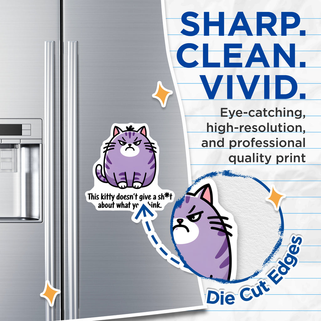 (2 Pack) Grumpy Cat Magnets - Sarcastic Kitten Decor - Dont Care Feline Humor - 5 Inches On Longest Side - Thick Durable Magnet - Made in USA - MAG37244