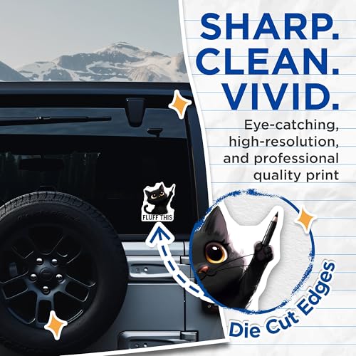 (2 Pack) Fluff This Funny Cat Stickers - Cute Cat Meme Stickers - Adorable Pet Stickers for Cat Lovers - 5" On Longest Side - Sticks to Smooth Flat Surfaces - Made in USA - BMCS3998