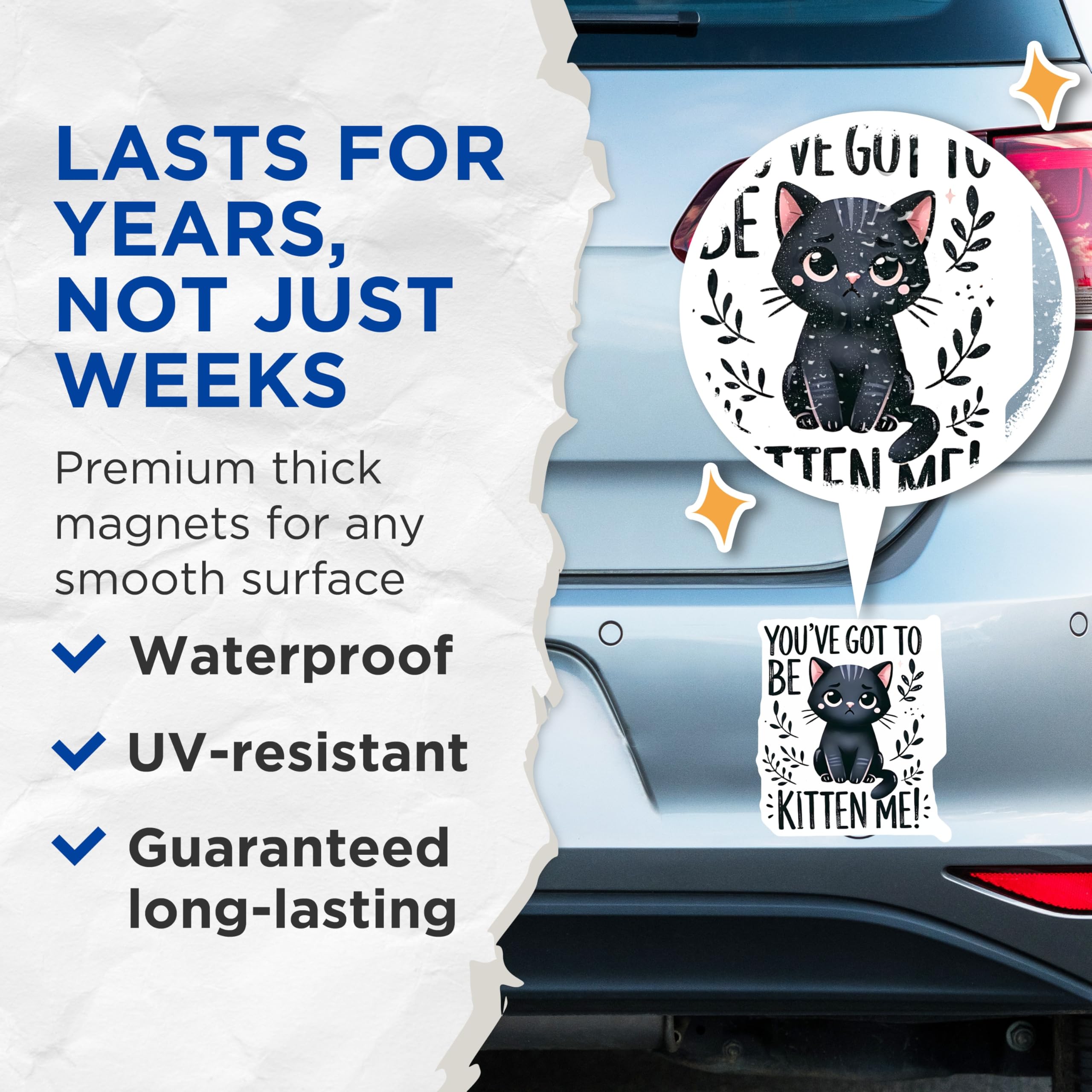 (2 Pack) Kitten Me Magnets - Cute Cat Decor - Funny Cat Lover Refrigerator Magnets - 5" On Longest Side - Premium Magnet - for Cars, Refrigerators, Toolboxes, Lockers - Made in USA - MAG14190