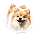(2 Pack) Pomeranian Dog Magnets - Happy Fluffy Pet Lover - Cute Animal Refrigerator Accent - Dog Mom Dad Home Decor - 5 Inches On Longest Side - Thick Durable Magnet - Made in USA - MAG28083
